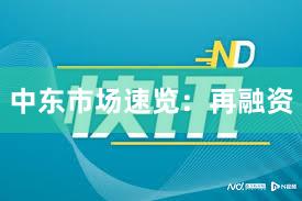 中东市场速览：再融资