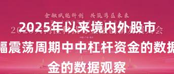 2025年以来境内外股市在宽幅震荡周期中中杠杆资金的数据观察